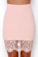 Chic Blush Pink Skirt - Lace Skirt - Bodycon Skirt - $34.00